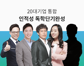 20대기업 통합 인적성 독학단기완성